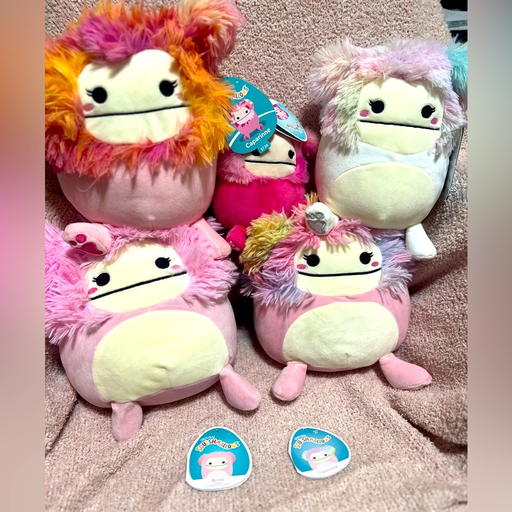 hold for-mg Bigfoot lot 5 squishmallows new